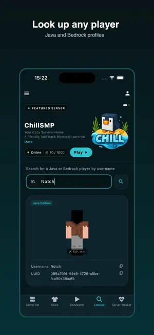 MCCompanion screenshot 4