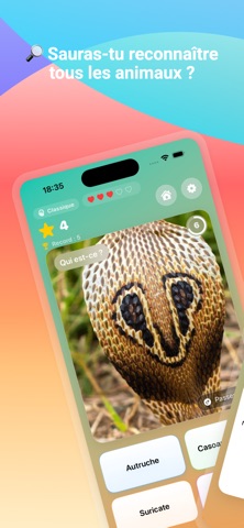 Zoom'Animaux screenshot