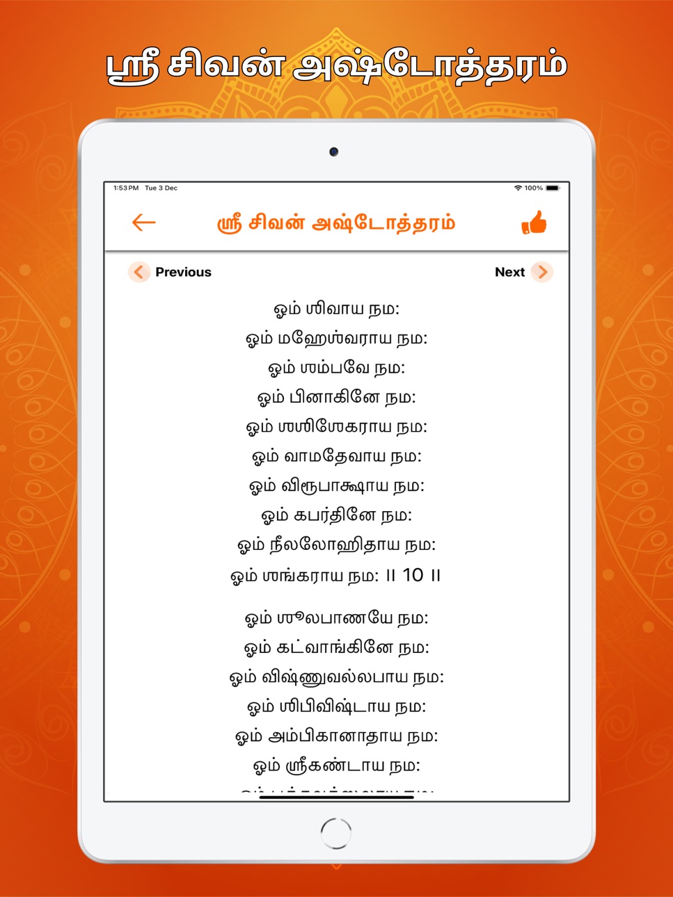 iPad screenshot