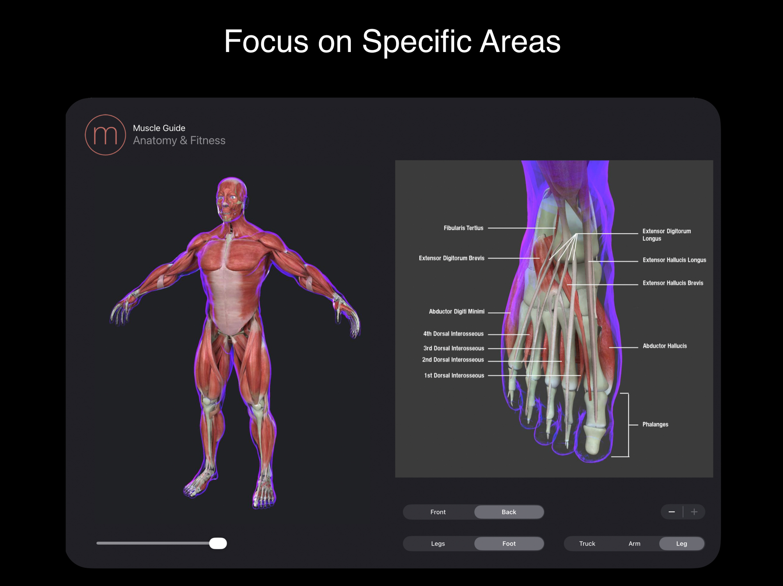 Fitness Muscle Guide screenshot 9