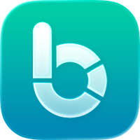 Budget Flow | Haushaltsbuch