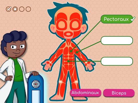 Screenshot #6 pour BodyQuest Premium: Anatomie