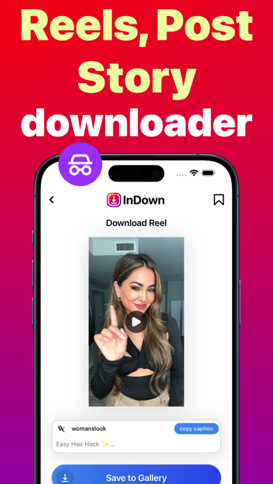 InDown・Reels Video Story Saver Screenshot