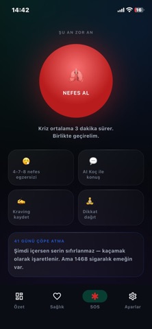 SmokeFreeAI Screenshot 3 of 7