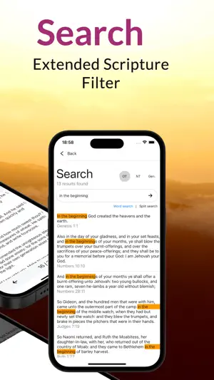 Holy Bible: BBE Version screenshot 3