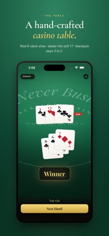 Never Bust Screenshot 4 of 8