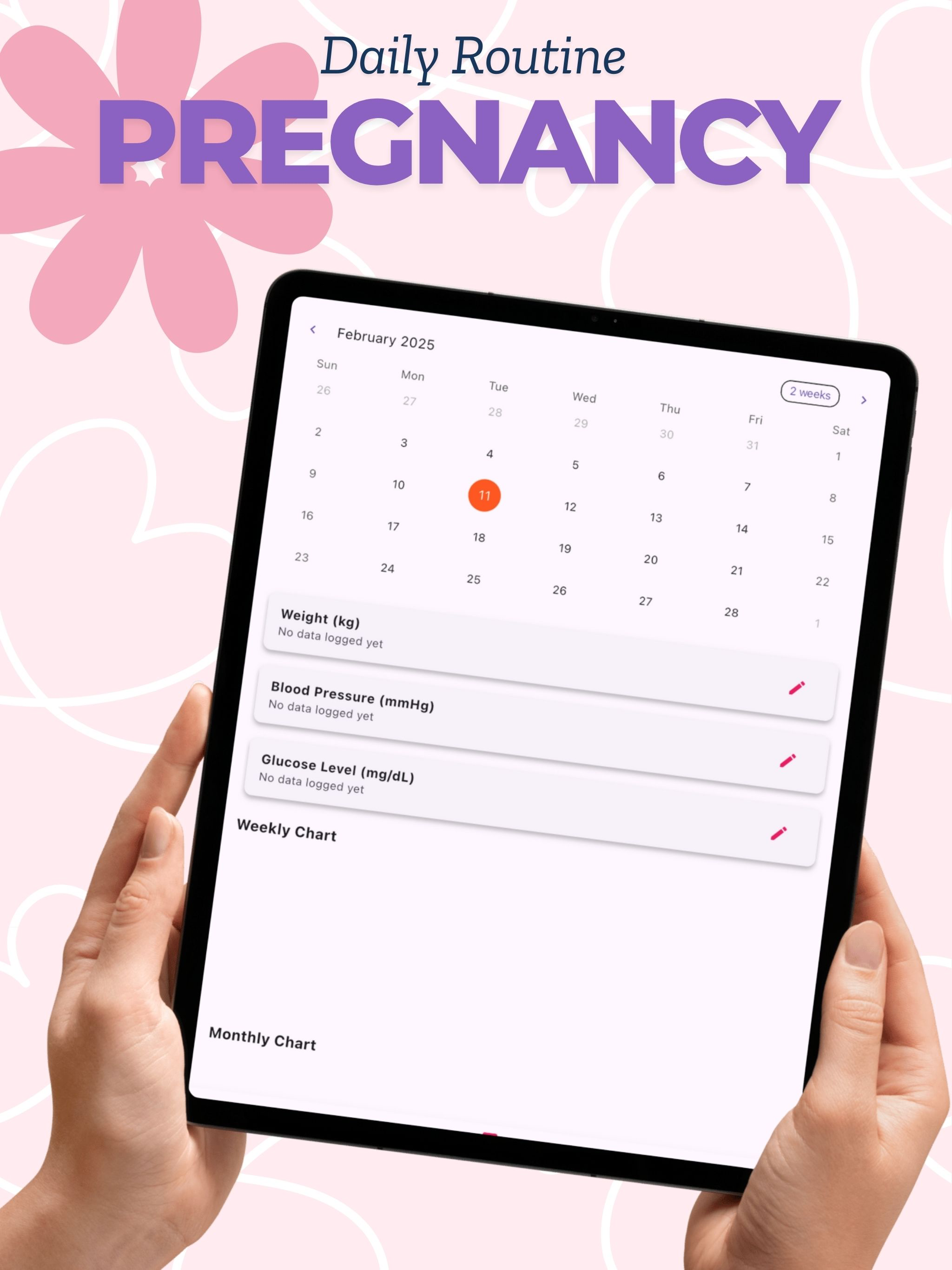 Pregnancy Diary Routine
