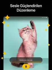 auror ai - photo video editor ipad resimleri 2
