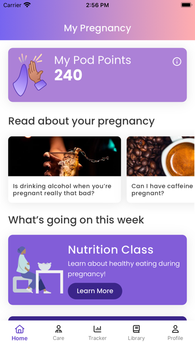 Delfina: Pregnancy Tracker