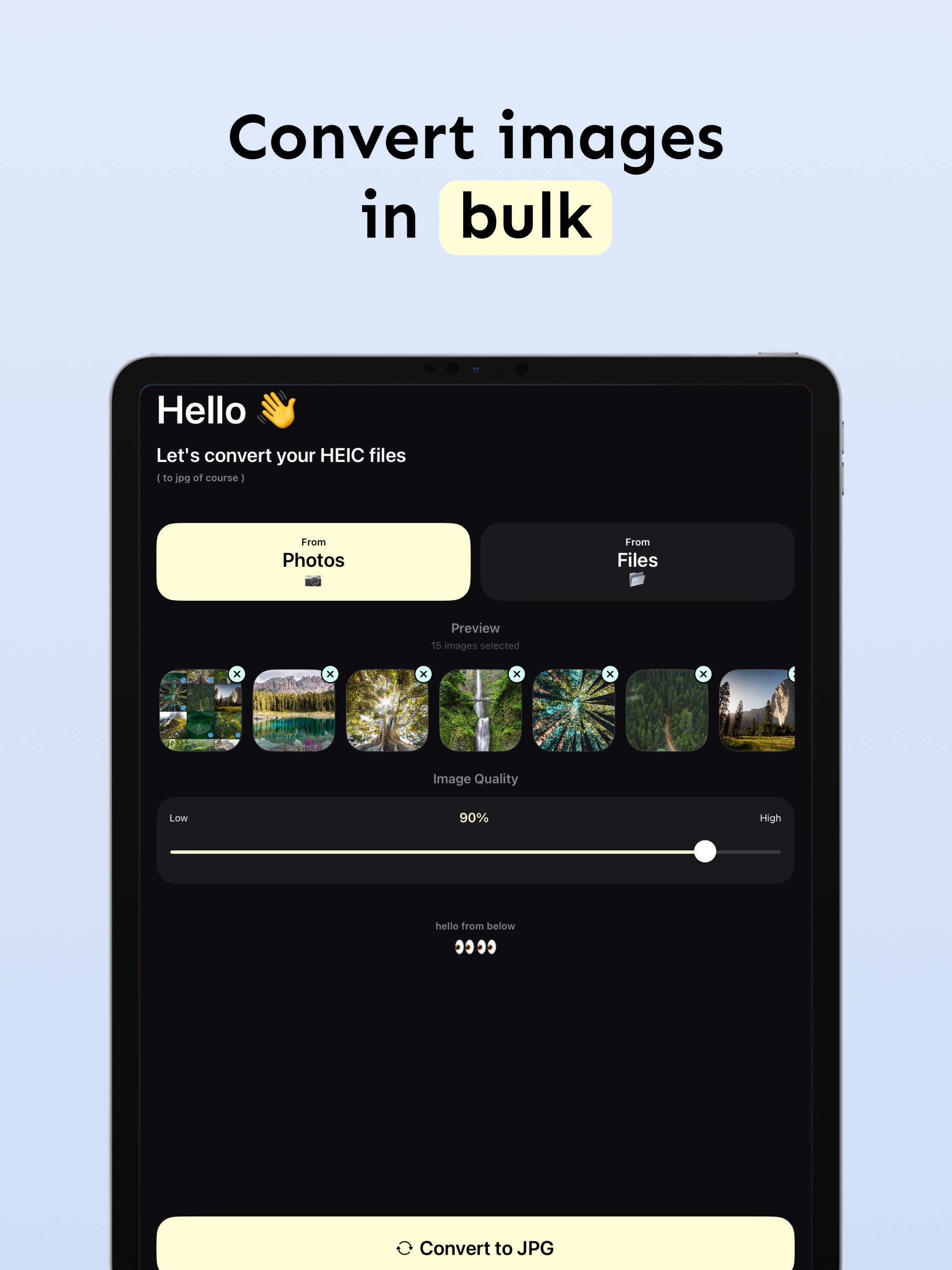 HEIC to JPG: Image Converter