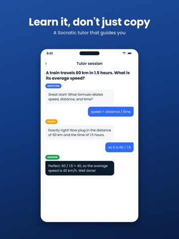 Solve It: AI Homework Helper iPad screenshot