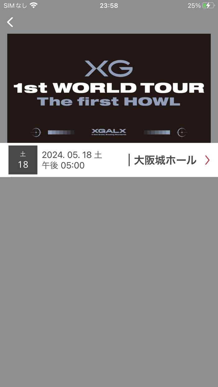 XG OFFICIAL LIGHT STICK