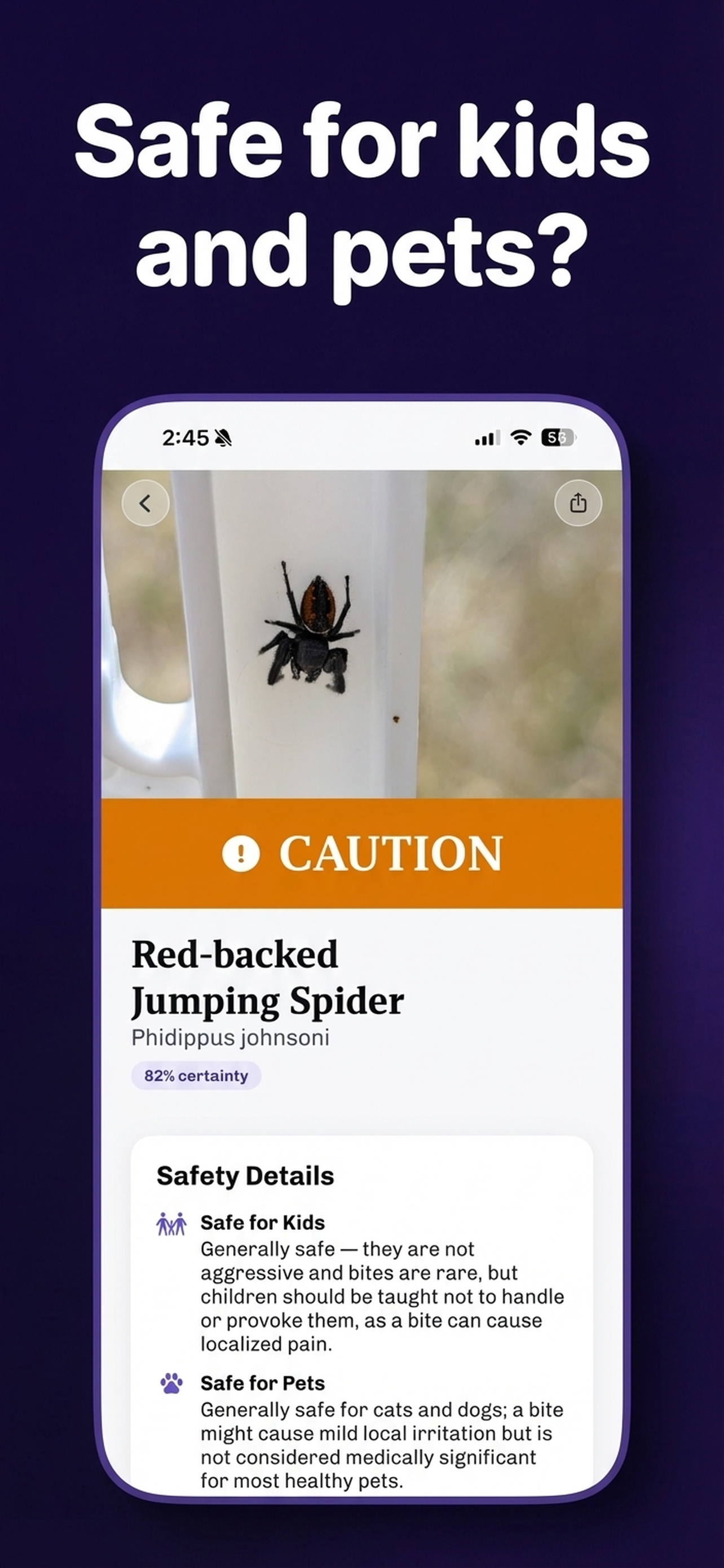 Spider Identifier: Spider Scan