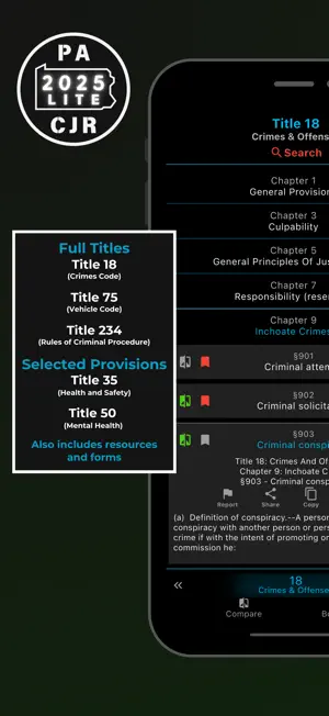 PA CJR 2025 Lite screenshot 1
