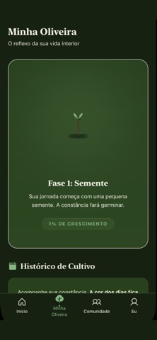 Comunidade Divinamente screenshot