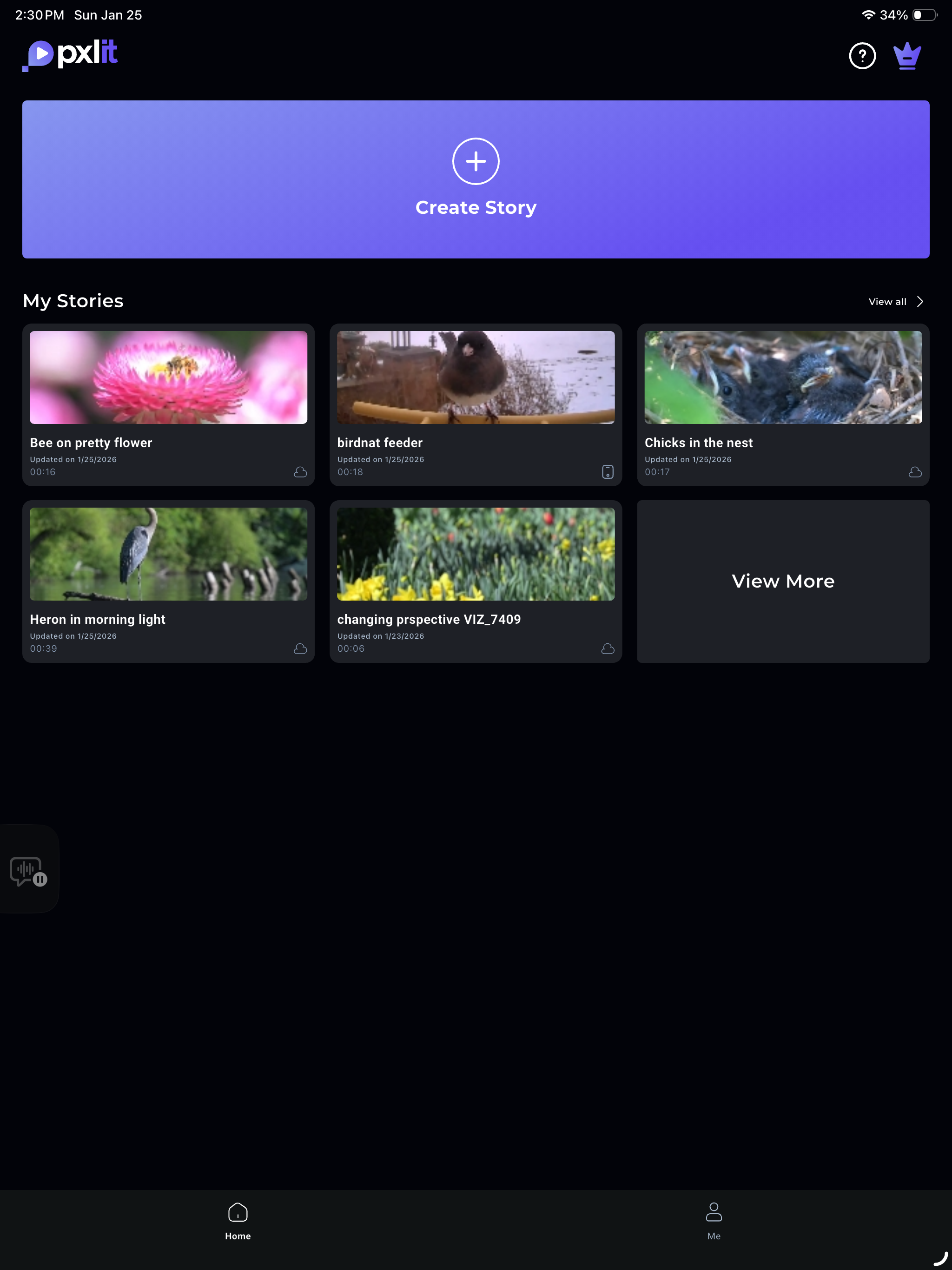 Pxlit: Stabilized Video Editor screenshot 10