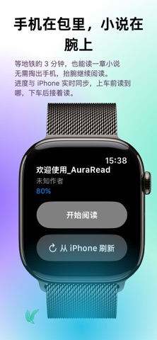 AuraRead - 本地小说阅读器 screenshot