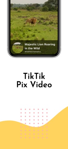 TikTik - ClearMark screenshot