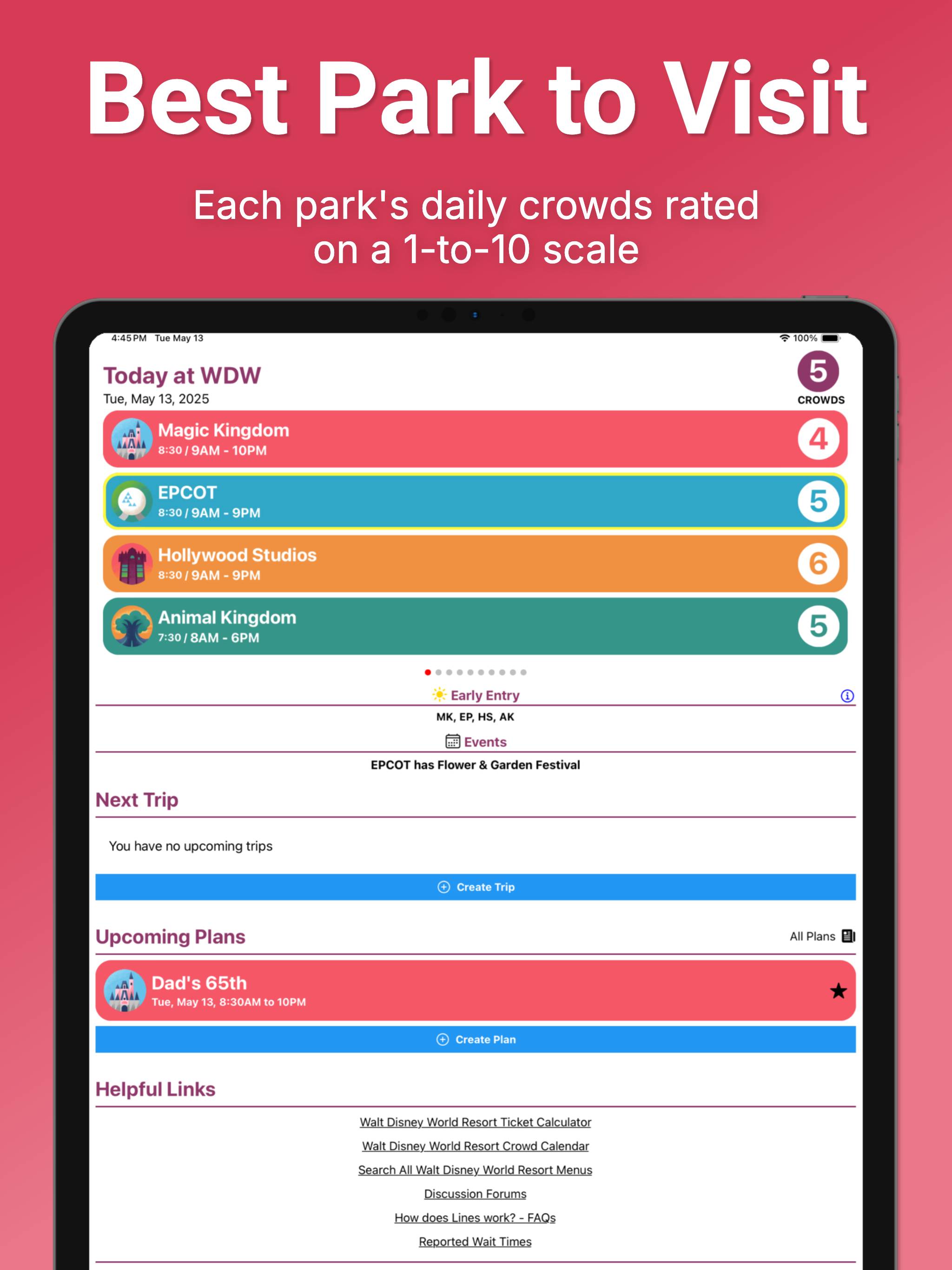 Disney World Lines (TP)