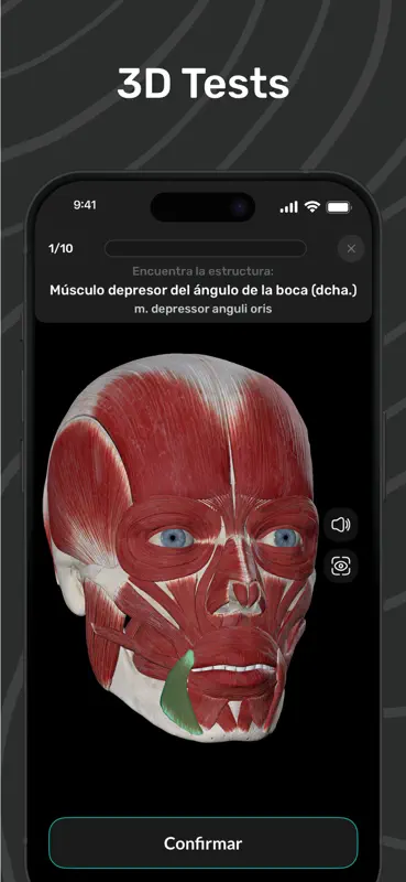 Easy Anatomy 3D con Voice AI screenshot 7 of 9