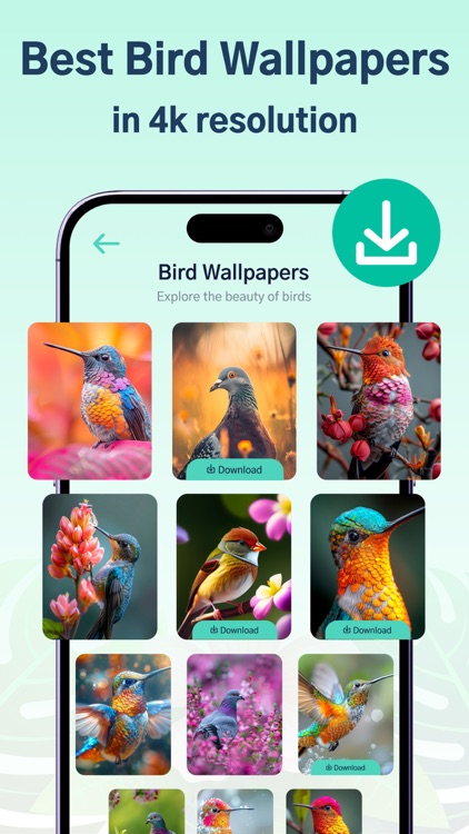 Cute Bird Songs & HD Wallapper screenshot-6
