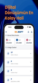 Bilsoft E-Fatura screenshot