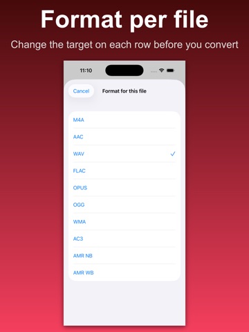 Audio Converter: MP3 AAC WAV iPad screenshot