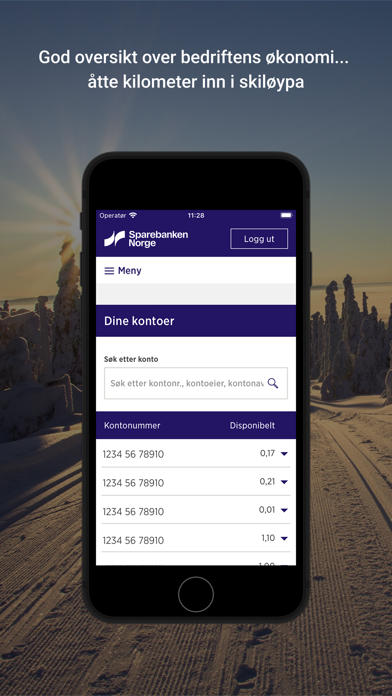 Sparebanken Norge Bedrift-Sør Screenshot
