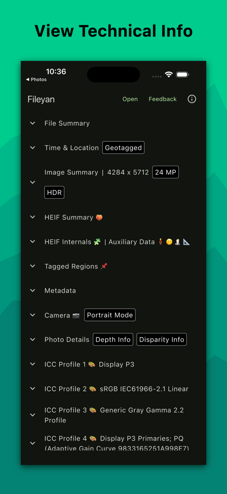 Fileyan screenshot 1