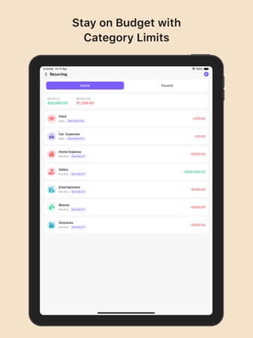 Budget planner-Expense tracker iPad screenshot