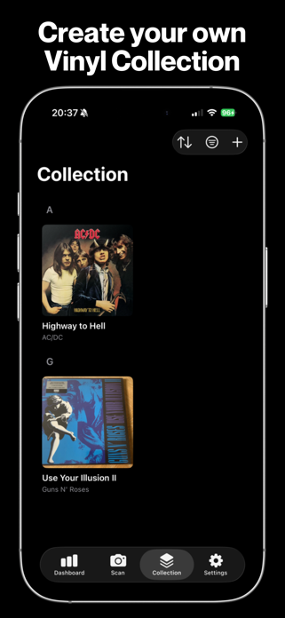 Vinyl Record AI Identifier Screenshot 3 of 5
