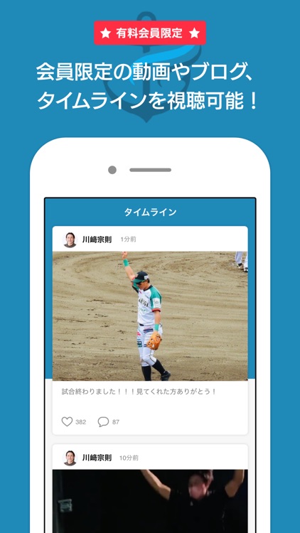 チェストクルー