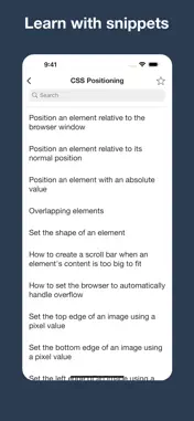 CSS editor, snippets, exercise screenshot 2