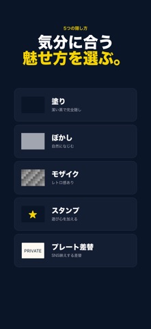 PlateGuard：ナンバー消しアプリ screenshot