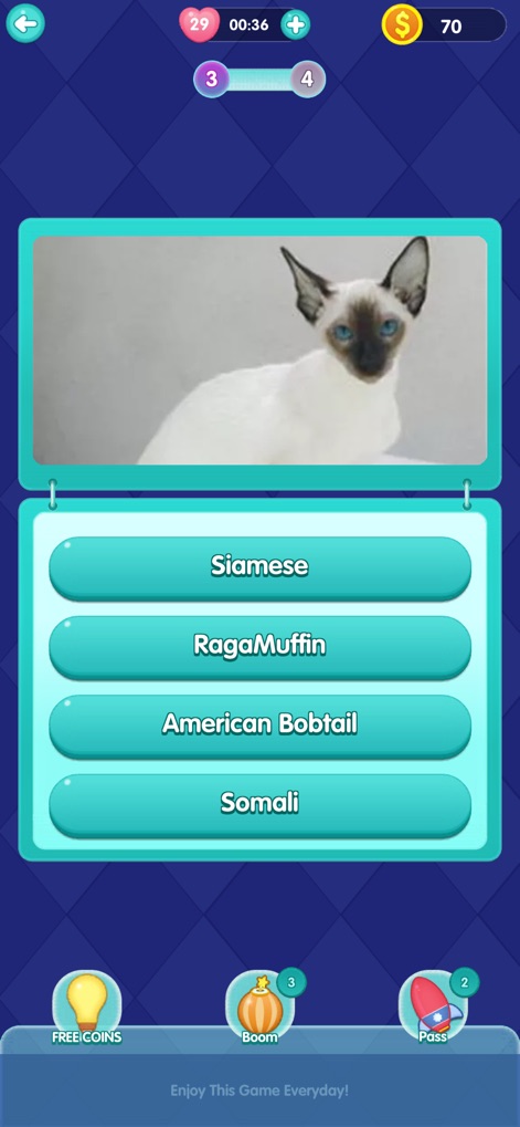 QuizTime - Trivia - この画面では、特定の動物の画像（シャム猫）と、その動物に関連する複数の選択肢（4つの猫の品種）が表示され、ユーザーは正しい答えを選んで知識を試すことができます。