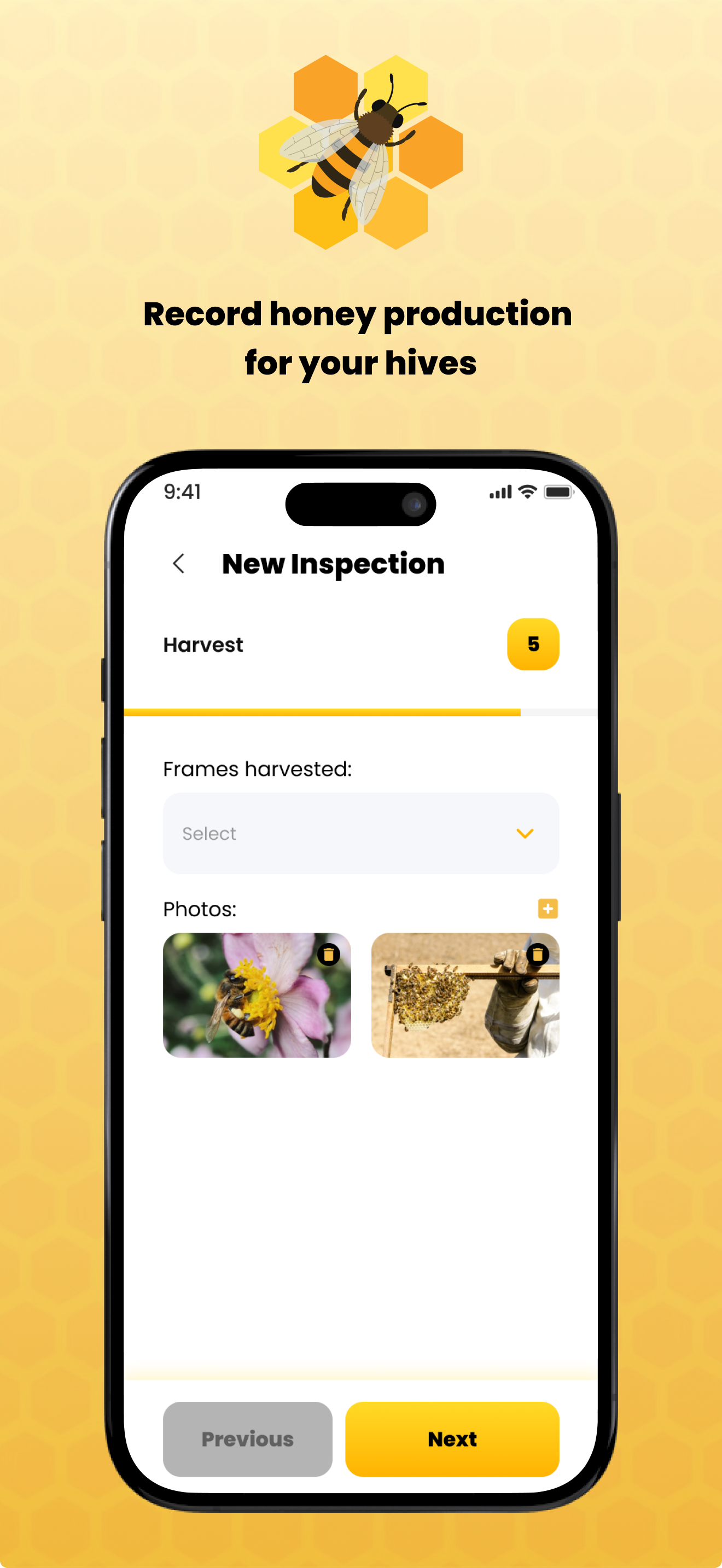 Bee Inspections