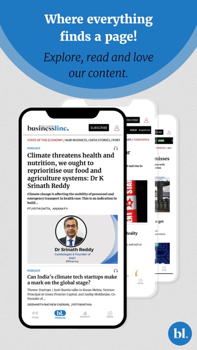 The Hindu Businessline News Screenshot