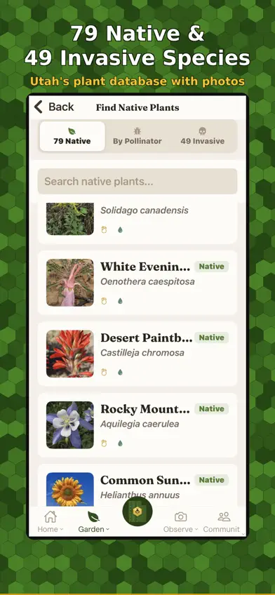 Beehive Connections screenshot 3