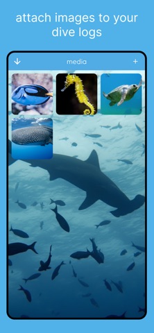 SCUBAzen : Ocean Dive Prep Screenshot 8 of 8