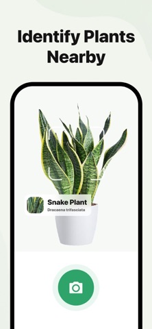 PlantSnapper: Plant ID Screenshot 5 of 8