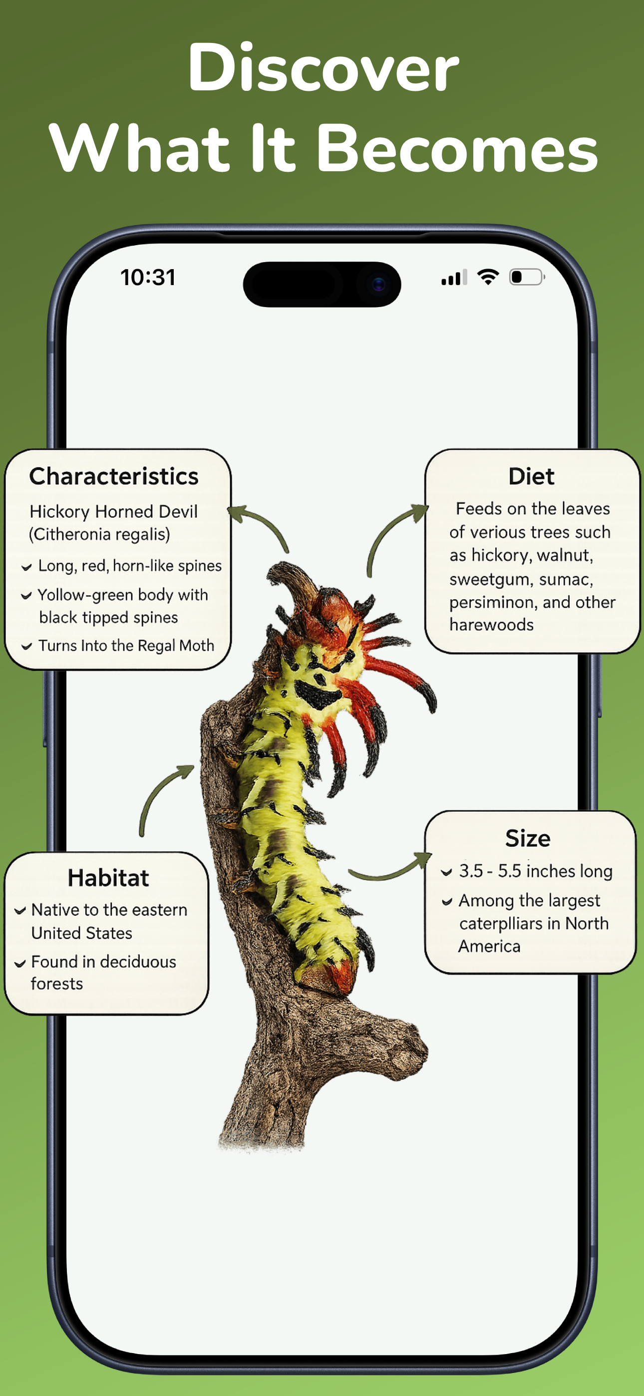 Caterpillar Identifier－Scan AI