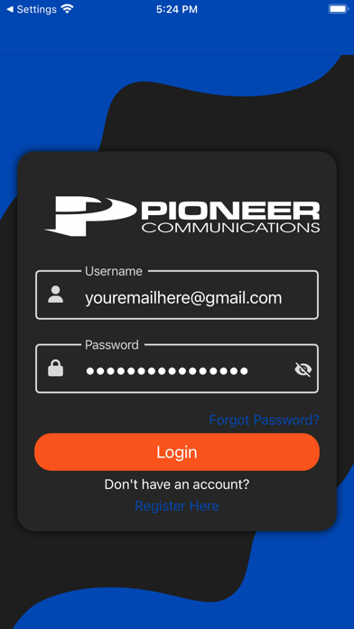Pioneer eBill Screenshot