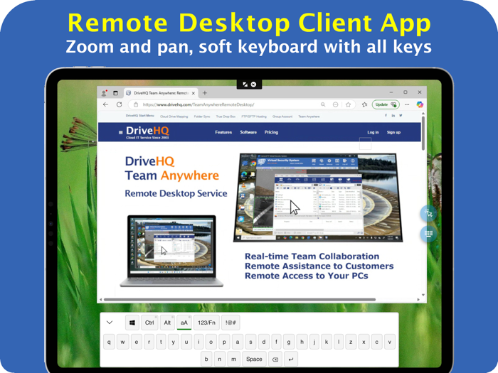 DriveHQ Team Anywhere Viewer