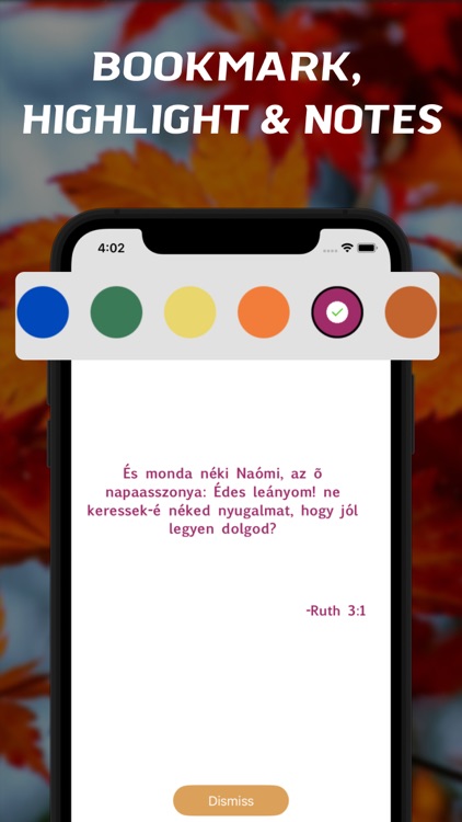 Hungarian Bible - offline