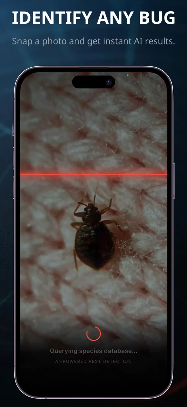#1. Bug Identifier: Bed Bug, Pest (iOS) Ved: 嵩 张