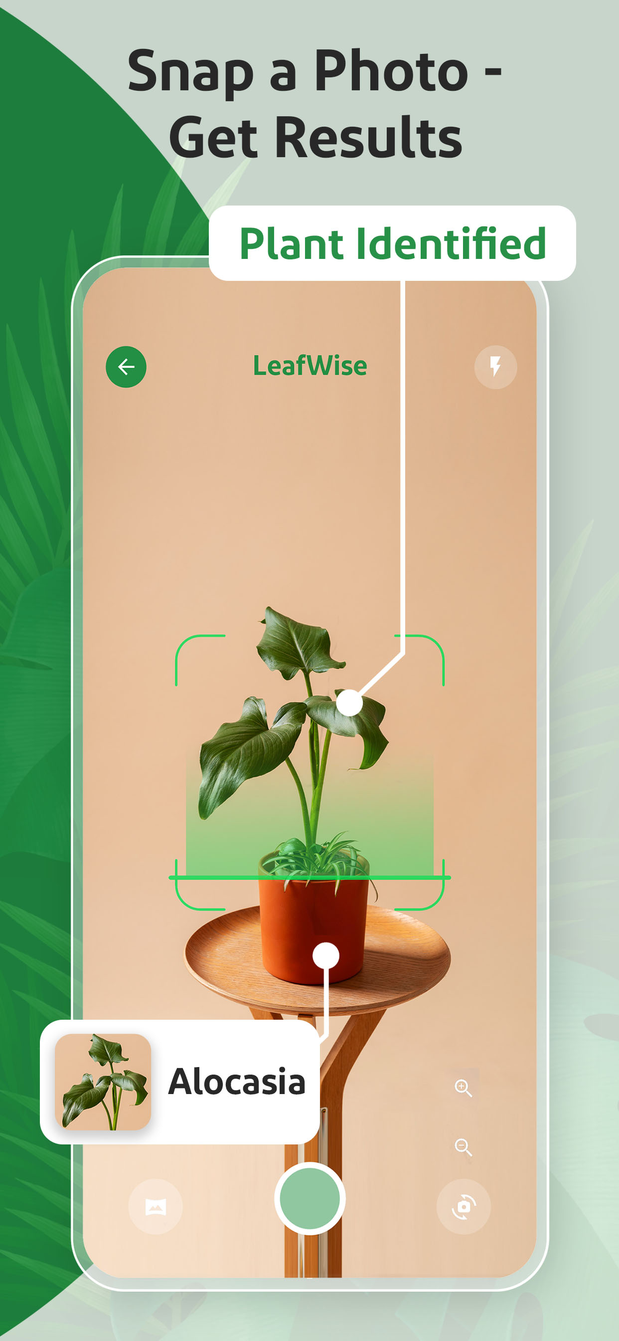 LeafWise - Plant Identifier screenshot 3