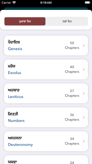 Holy Bible In Punjabi Screenshot