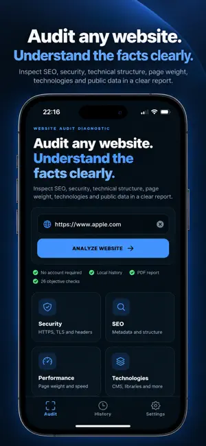 Website Audit Pro screenshot 1
