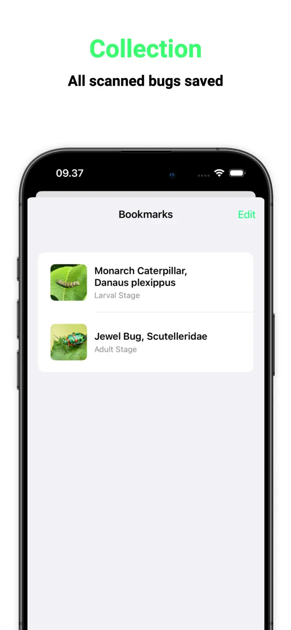 #4. Bug Identifier ◦ Insect ID (iOS) Ved: Ikhwan Noorsetyo