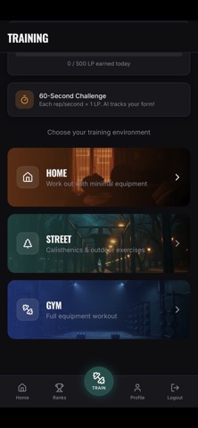 LIONS-X screenshot